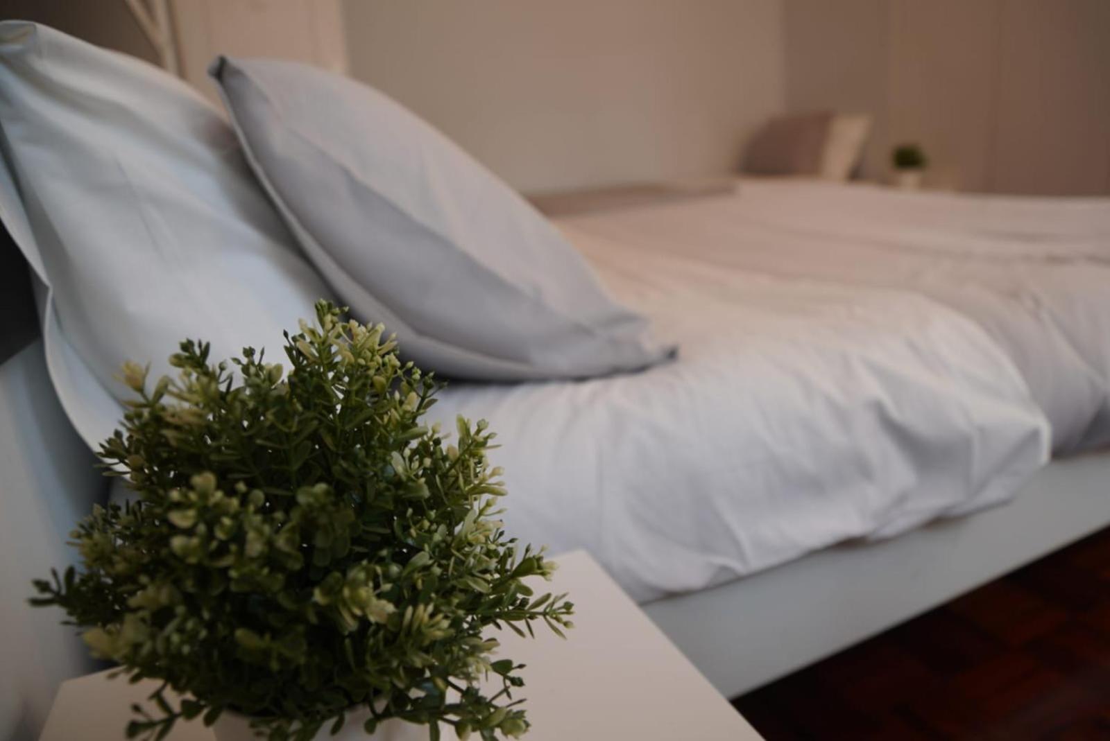 Bisengototo Homestay Lisboa المظهر الخارجي الصورة